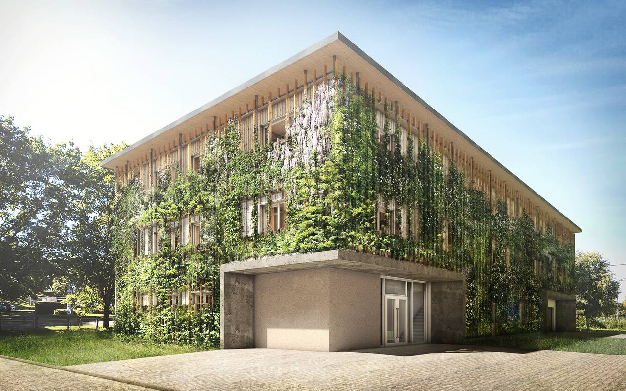 Visualisierung ©Planungsgruppe Fölsche GmbH Visualisierung ©Planungsgruppe Fölsche GmbH